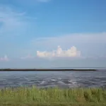 Tohuus *
