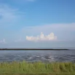 Tohuus *