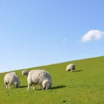 度假居 Tohuus *