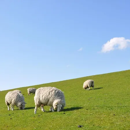 Tohuus Feriehus Wesselburenerkoog