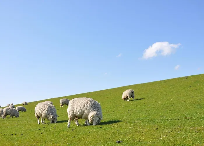 Tohuus Casa vacanze Wesselburenerkoog