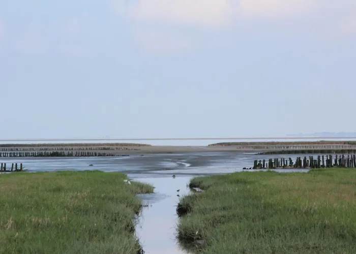 Tohuus Wesselburenerkoog